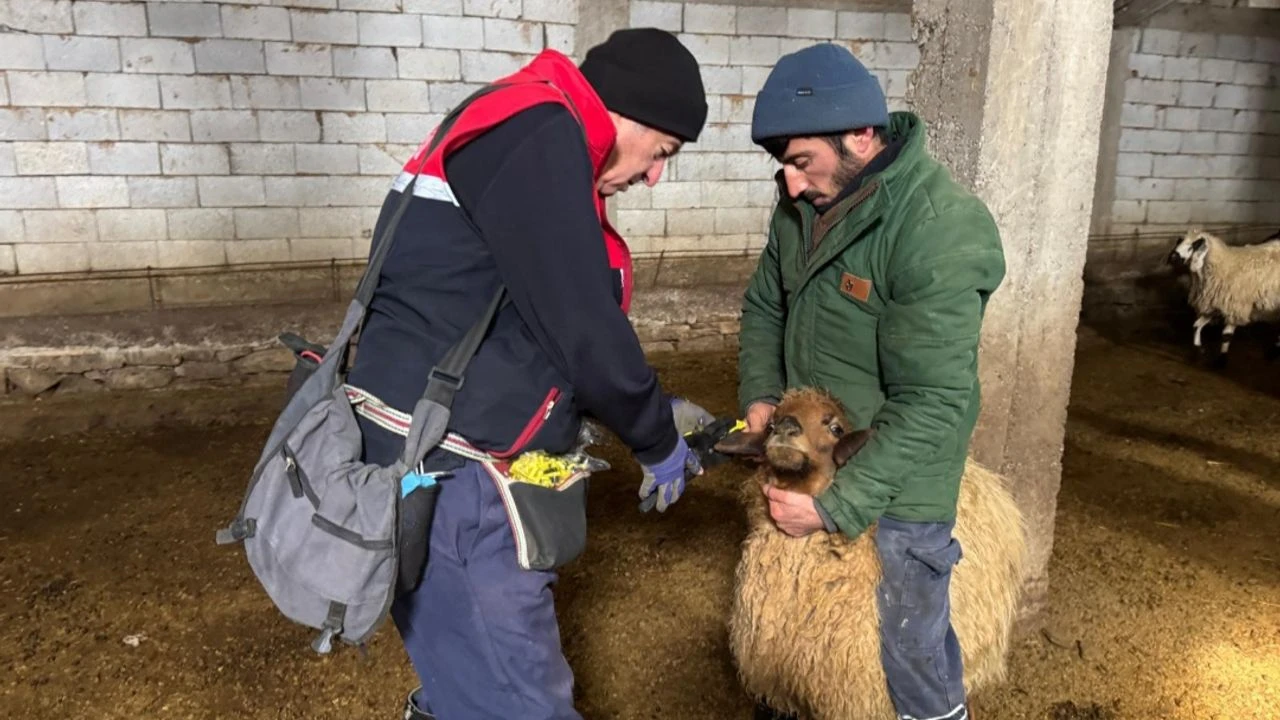 Yüksekova’da Salgın Hastalıklara Karşı Önlem