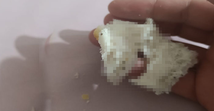 Hakkari’de Ekmek Skandalı Bitmiyor: Vatandaşlardan Yetkililere Çağrı