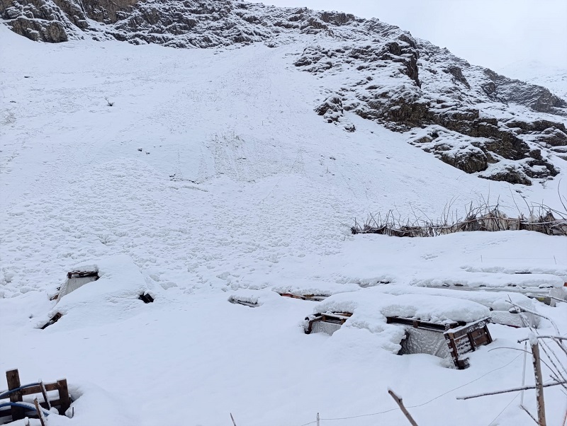 Hakkari’de Çığ Felaketi: 137 Arı Kovanı Kar Altında Kaldı