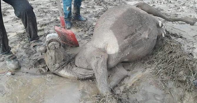 Hakkari-Van karayolunda sel felaketi