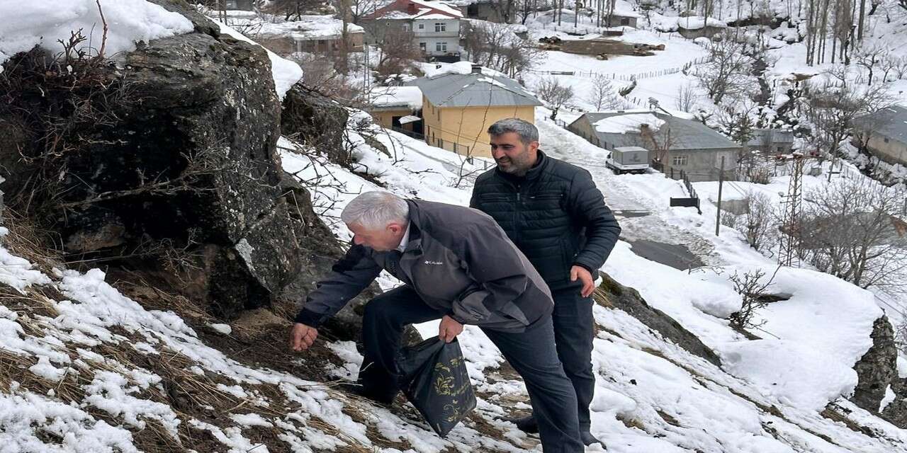 Milletvekili Özbek Yaban hayvanları için doğaya yem bıraktı