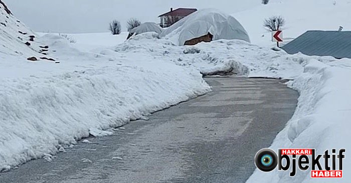 Hakkari'de Köylülerden Sert Tepki: Kısa Mesafeli Yol Aylardır Açılmadı