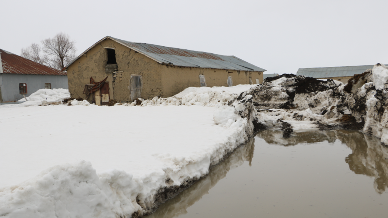Hakkari’de Şiddetli Yağış: Ahırları Su Bastı