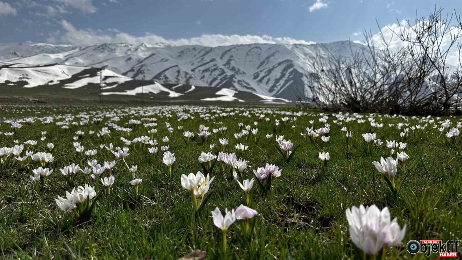 Cemre Ne Zaman Düşecek? 2026 Takvimi Açıklandı
