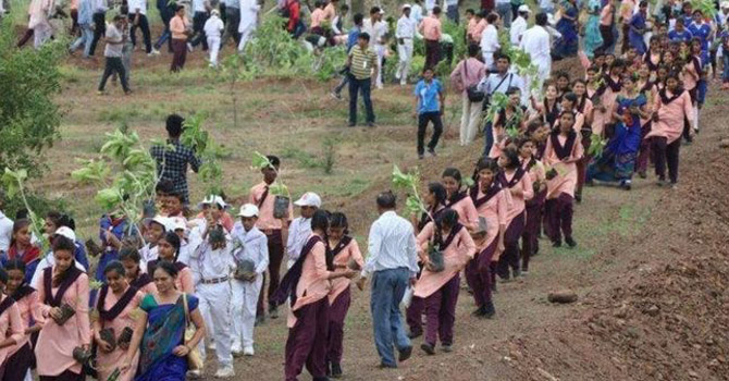 Hindistan'da 12 saatte 66 milyon ağaç dikildi