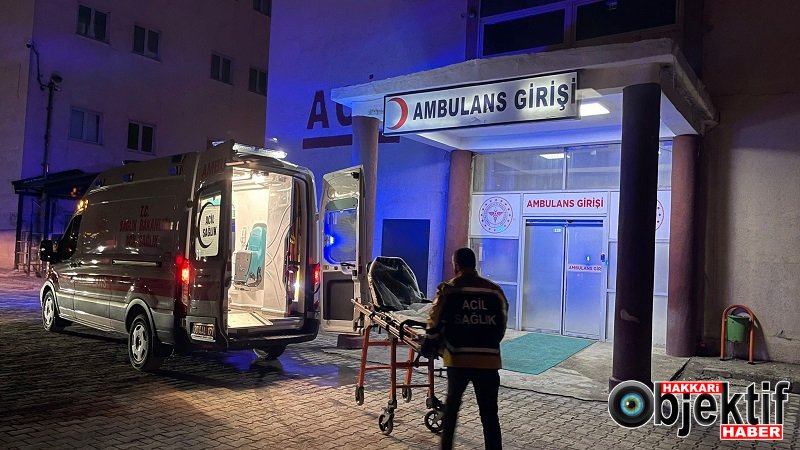 Hakkâri’de Şüpheli Ölüm: 5 Çocuk annesi ölü bulundu!