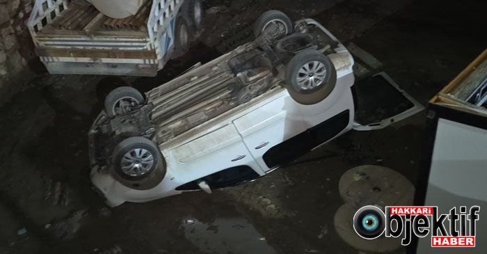 Hakkari'de Feci Kaza: Kamyonet Uçuruma Yuvarlandı