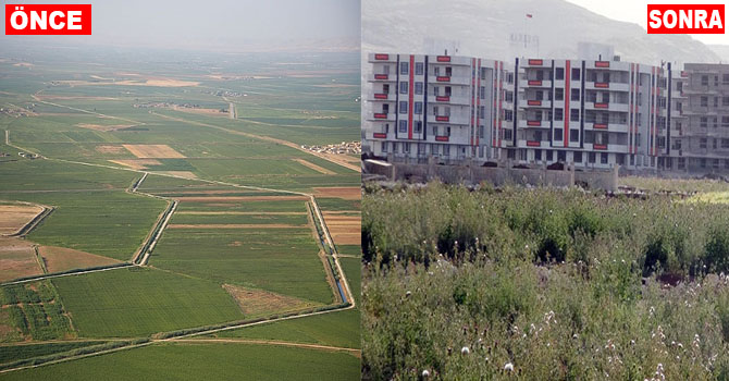 Harran Ovası hızla betonlaşıyor
