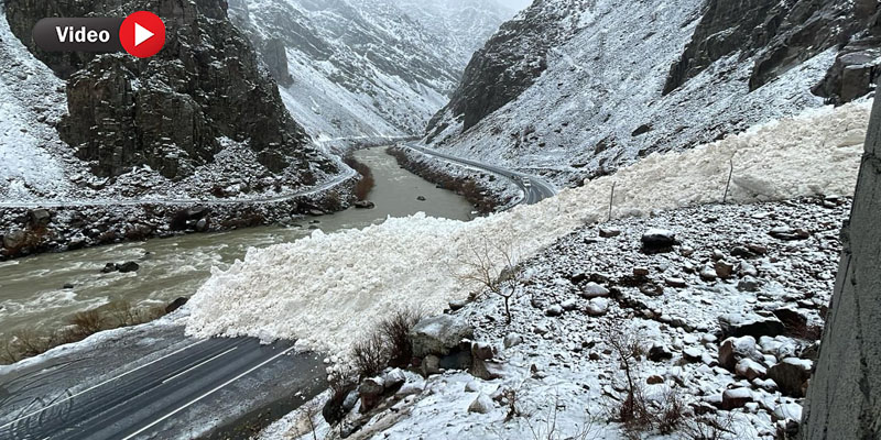 Hakkari'de Çığ karayolunu ulaşıma kapattı!