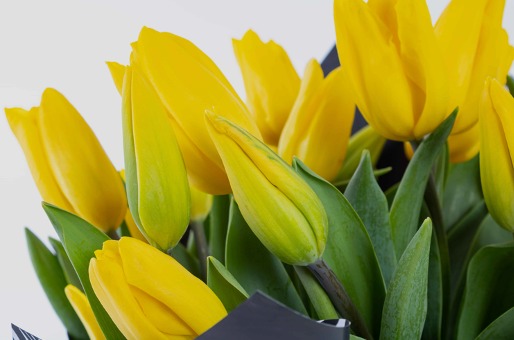 Duyguları Adrese Teslim Etme Sanatı