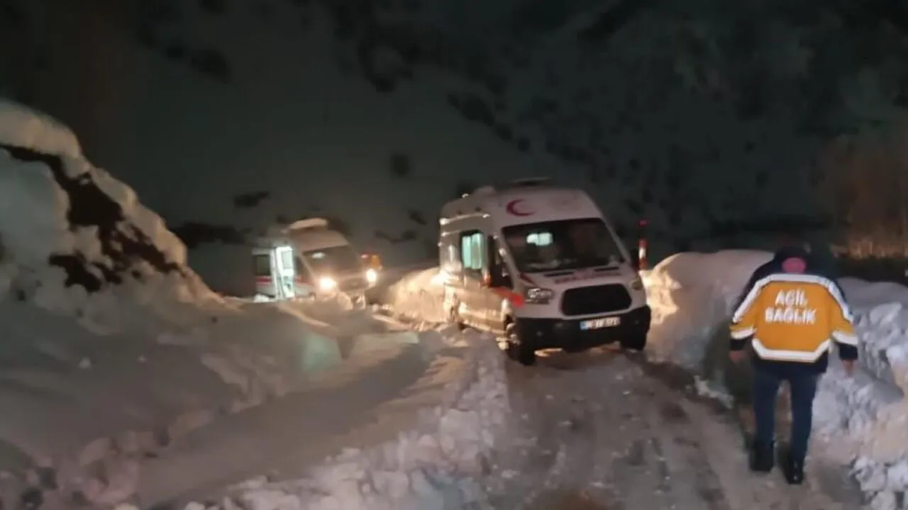 Hakkari’de Polis Aracı Kaza Yaptı: 3 Özel Harekat Polisi Yaralı