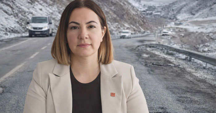 CHP’den Hakkari-Van karayoluna Acil Çözüm Çağrısı