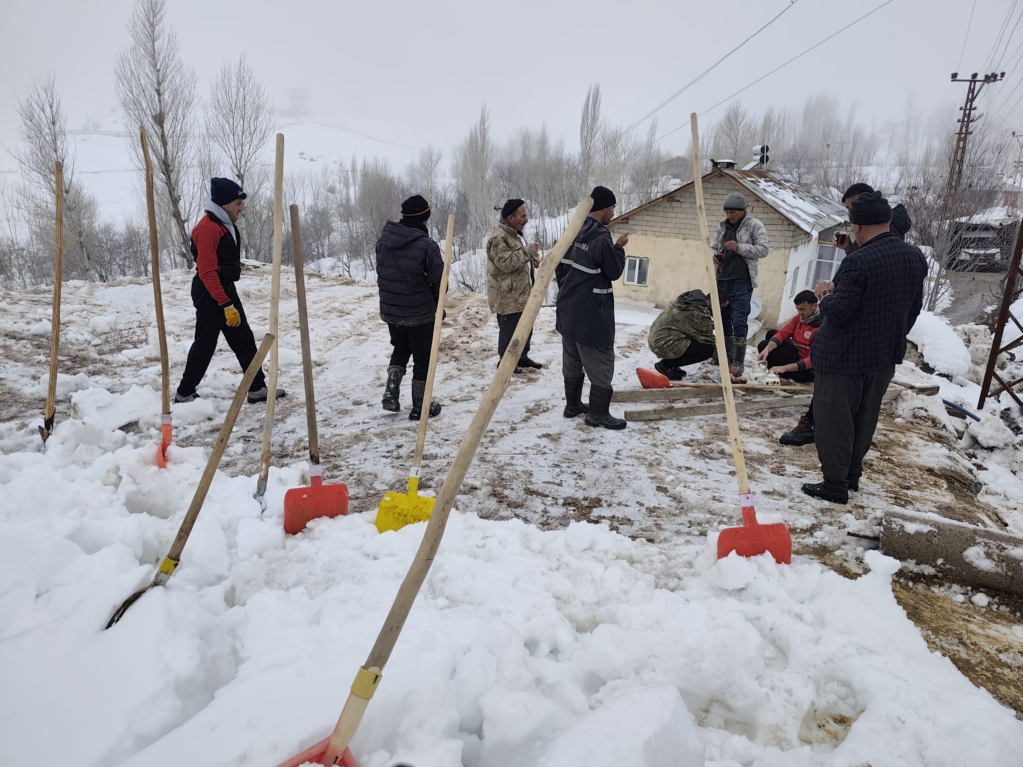 Hakkari'de Ahır Faciası! (VİDEO)