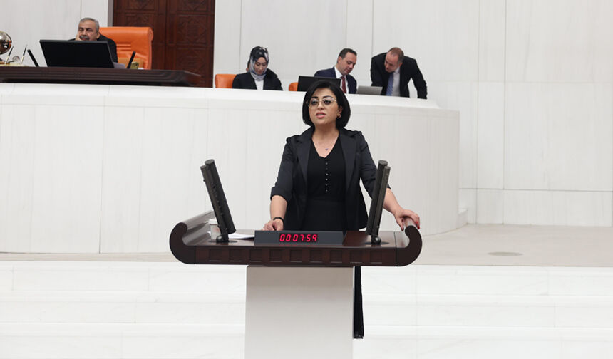 Şemdinli–Derecik yolu Meclis gündeminde