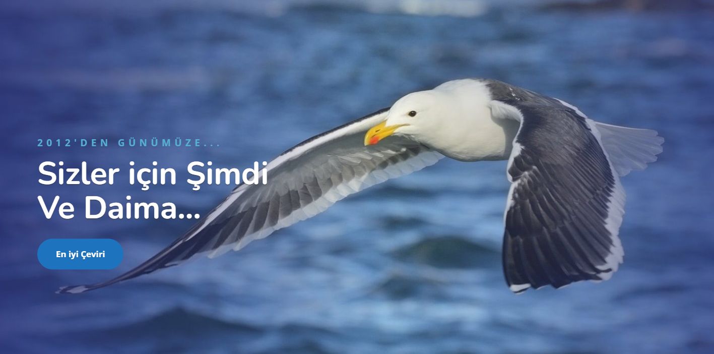 Kelime Başı Çeviri Ücreti - Çeviri Bürosu