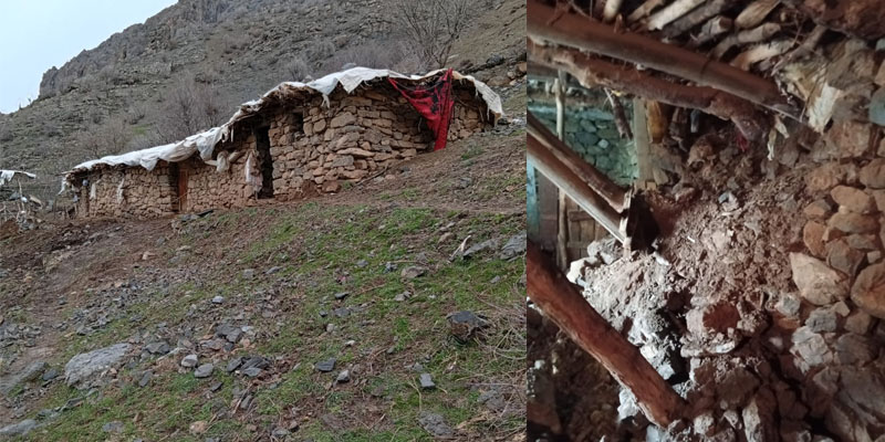 Hakkâri’de Korkutan Olay: Hayvanlar Son Anda Kurtarıldı