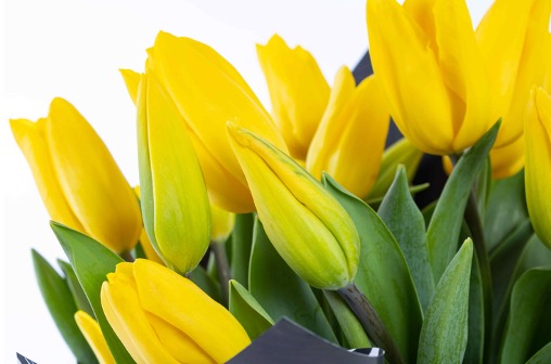 Kalpten Gelen Bir Jest