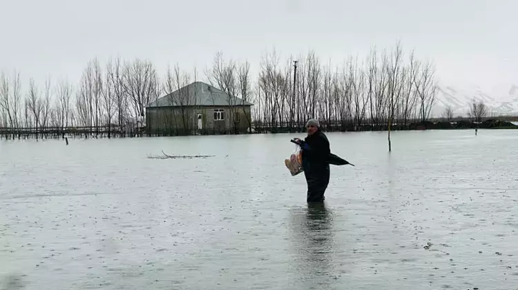 Yüksekova'da Taşkın Alarmı: Evler ve Ahırlar Suya Gömüldü