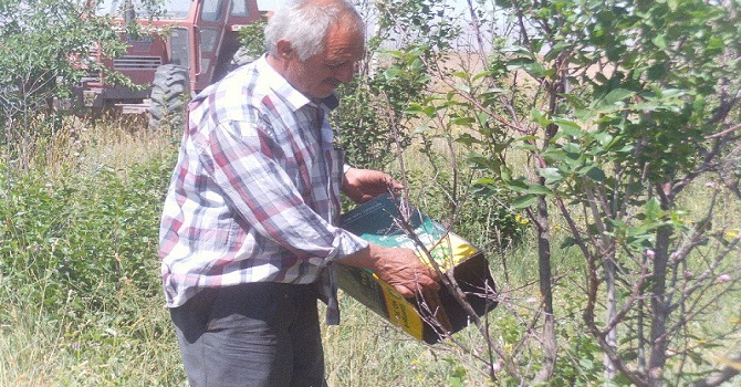Taşıma Suyla Meyvecilik