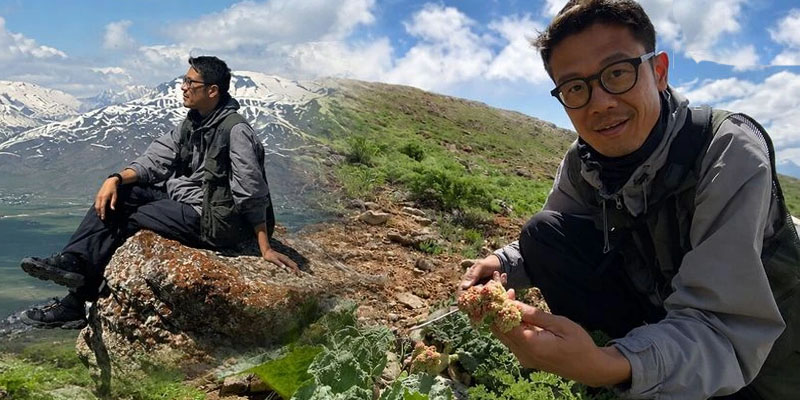 Japon Turist Hakkari Yaylalarında Uçkun Topladı