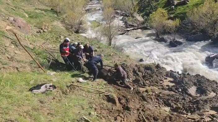 Hakkari’de bataklıkta mahsur kalan inek kurtarıldı