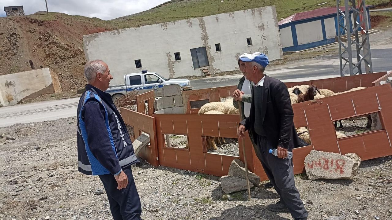 Hakkari'de kurbanlık satışları başladı