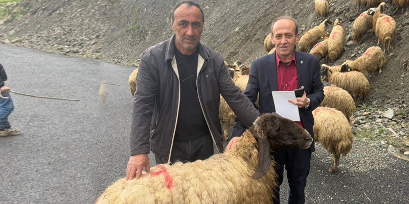 Hakkari’de 87 Kurbanlık, 487 İhtiyaç Sahibi Aileye Ulaştı