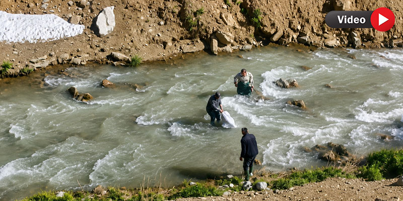 Hakkari'de pancar toplarken mahsur kaldı: 3 saat sonra kurtarıldı