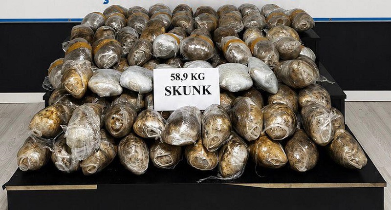 Hakkâri’de 58 Kg Skunk Ele Geçirildi: 3 Gözaltı
