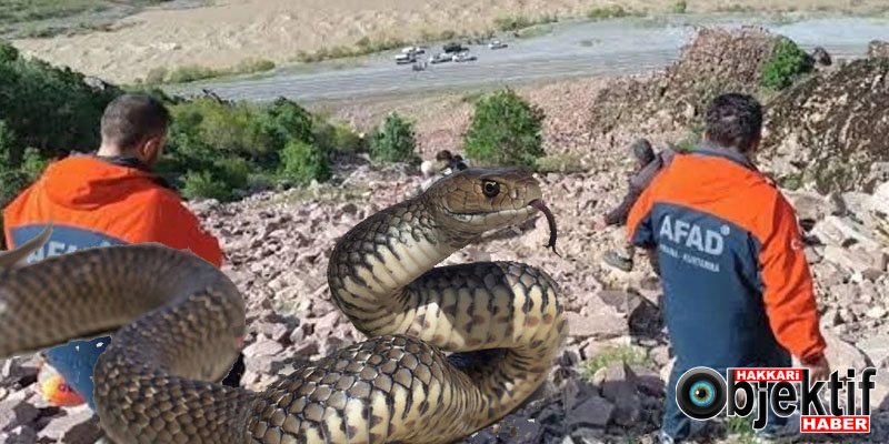 Hakkari’de kırsalda tehlikeli anlar: Bölgeye sağlık sevk edildi