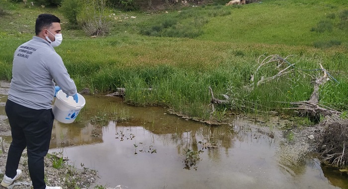 Hakkari Belediyesi’nden Larva Seferberliği