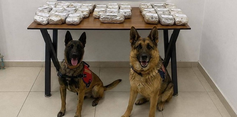 Hakkari’de 21 Kilo Toz Esrar ele geçirildi