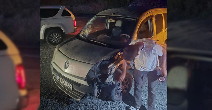 Hakkâri'de yola çıkan at kazaya neden oldu