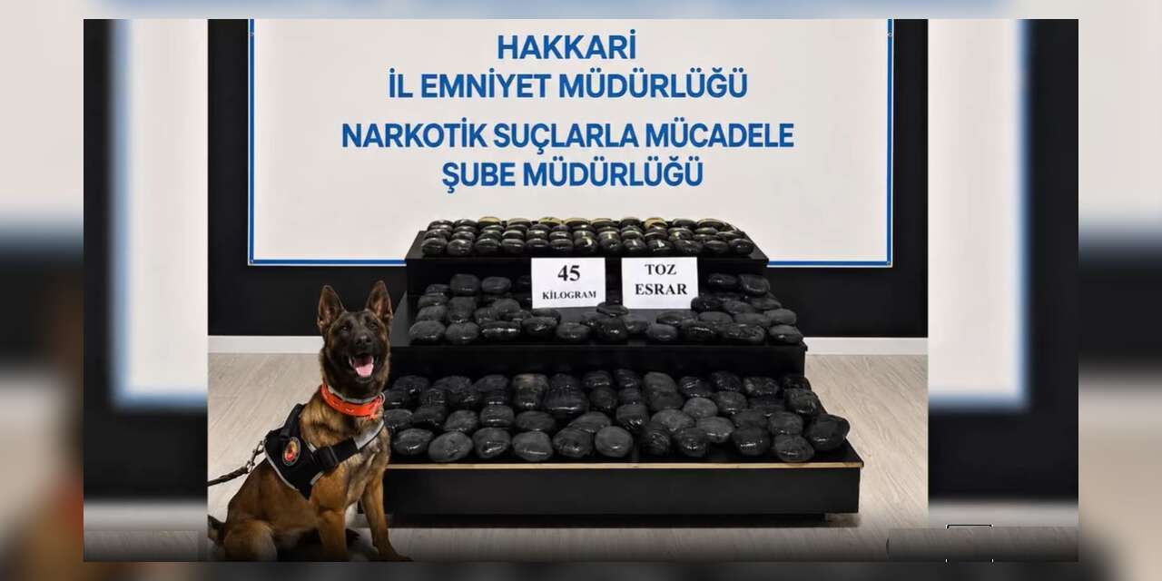 Yüksekova'da Firari Hükümlü, 45 Kilo Uyuşturucuyla Yakalandı
