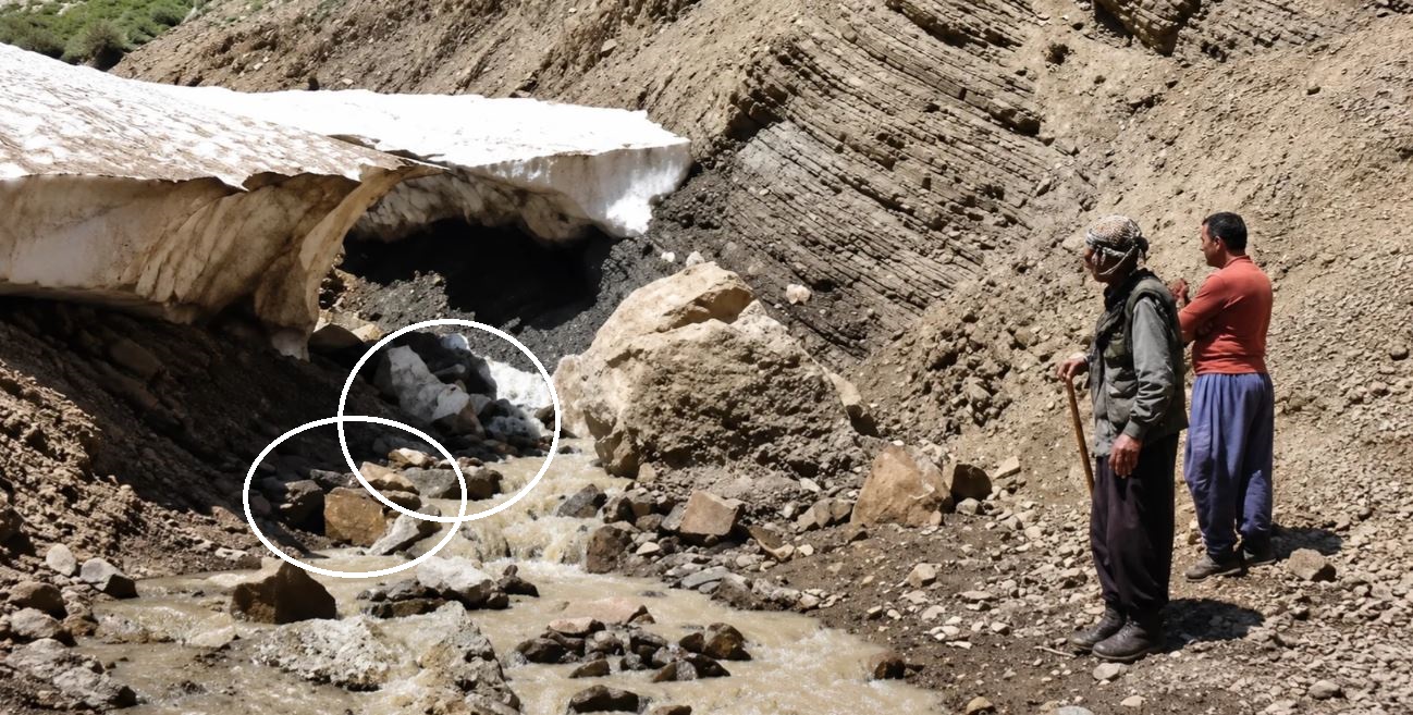 Hakkari'de kar faciası: 25 koyun kar kütlesinin altında telef oldu