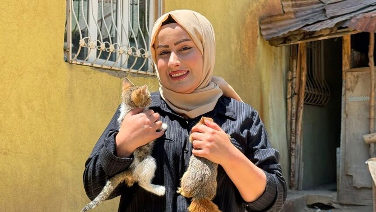 Hakkari'de bir sincap hikâyesi