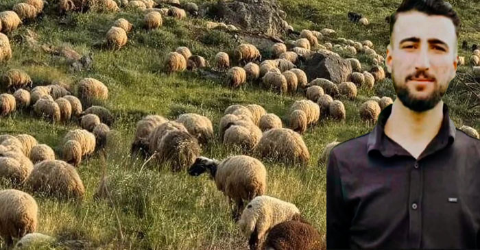 Hakkari'de av tüfeği can aldı: 22 yaşındaki Genç hayatını kaybetti