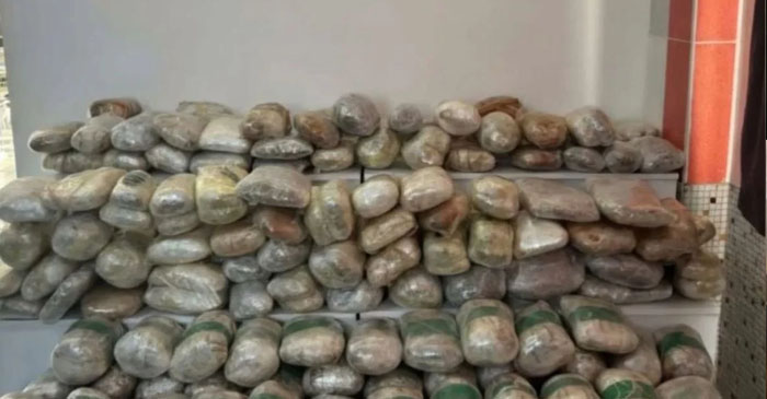 Hakkari'de 265 kilo skunk ele geçirildi
