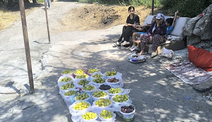 Çukurca’da yılın ilk incirleri tezgâhlarda yerini aldı