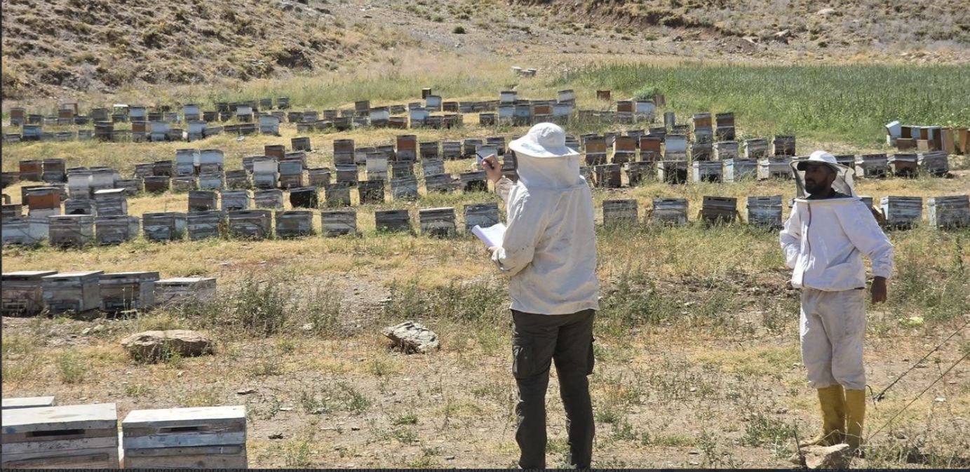Hakkari’de arıcıların kovanları kayıt altına alınıyor