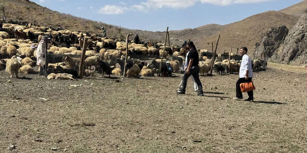 Yüksekova’da sağlık ekipleri köy ve yaylalara ulaşıyor