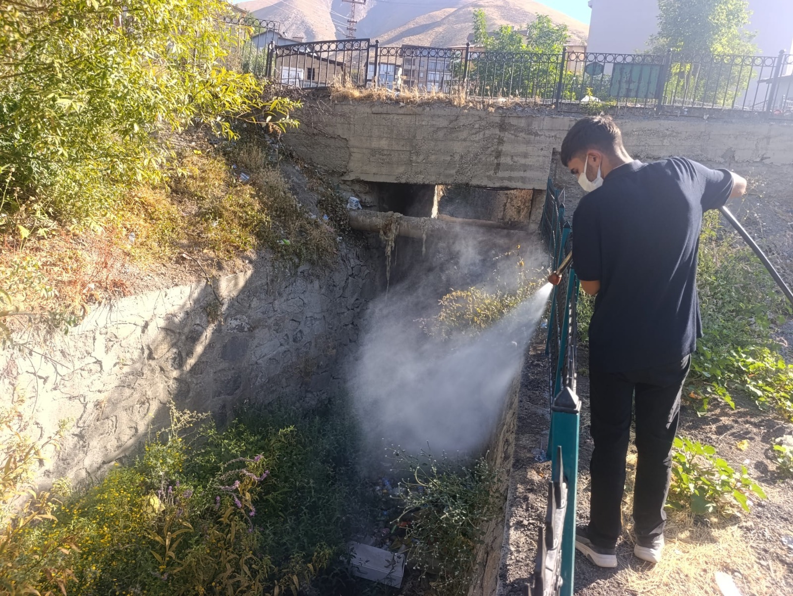 Hakkari’de haşerelere karşı mücadele