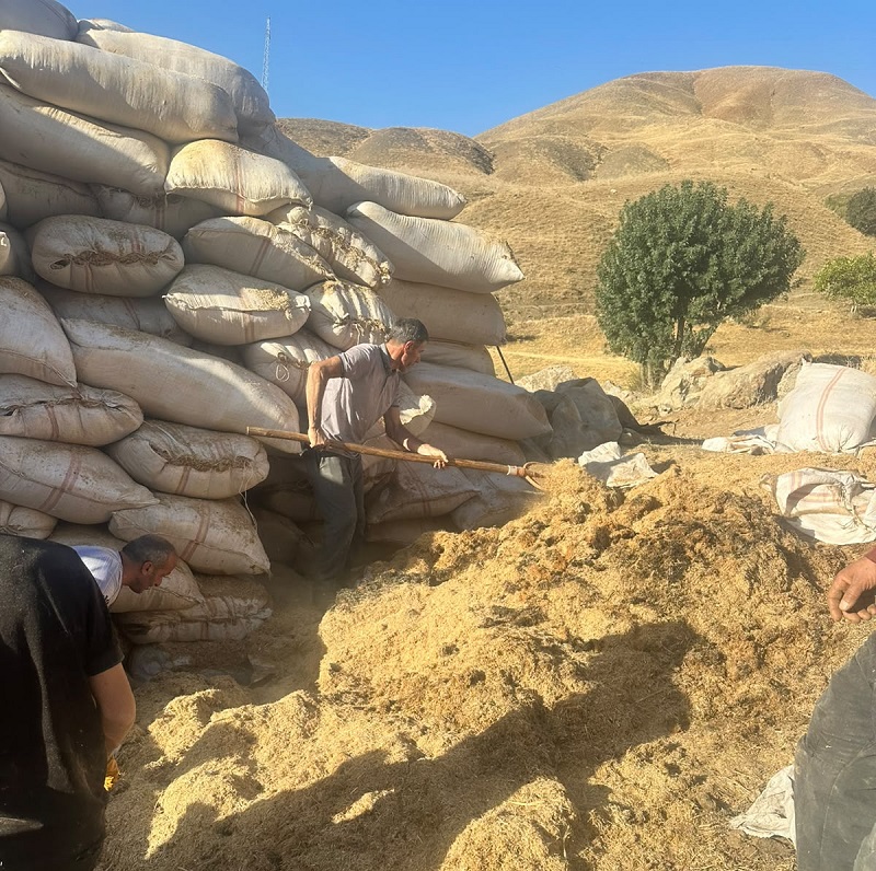 Hakkari’de 5 ton saman yandı