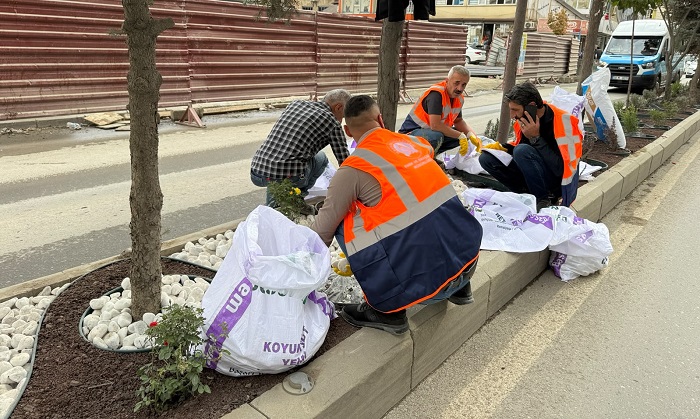 Bir hafta uğraşıldı, tepki geldi: Hakkari’de taşlar yeniden toplanıyor