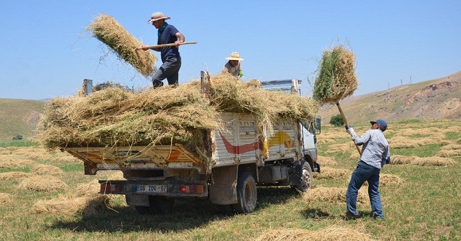 Yüksekova'da besicilerin kış hazırlığı
