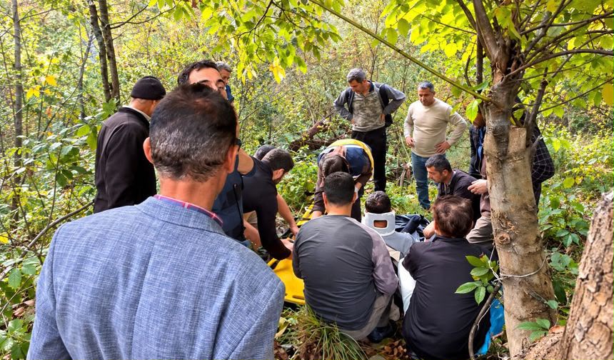 Hakkari’de ceviz toplarken ağaçtan düştü