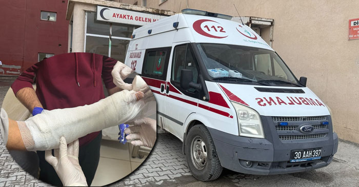Hakkari’de ceviz hasadı alarmı: 5 kişi ağaçtan düştü