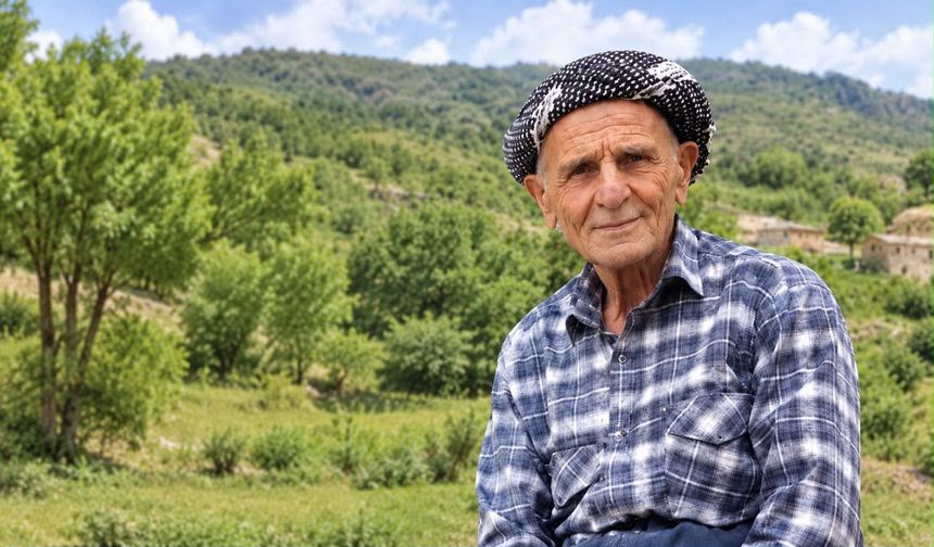 Hakkari’de ceviz toplama kazası ölümle sonuçlandı