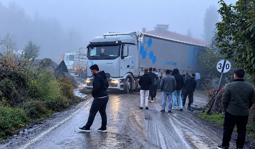 Derecik’te TIR yolda kaldı, araç kuyrukları oluştu