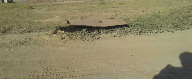 İnsanlık kartonun altında kaldı!